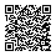 QR-Code für Telefonnummer +12056035913