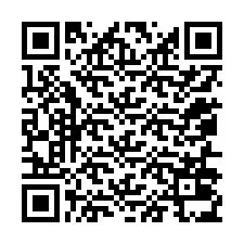 QR Code สำหรับหมายเลขโทรศัพท์ +12056035918