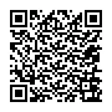 QR-Code für Telefonnummer +12056063817