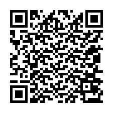 QR код за телефонен номер +12056073334