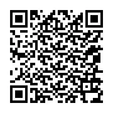 电话号码二维码 +12056134860