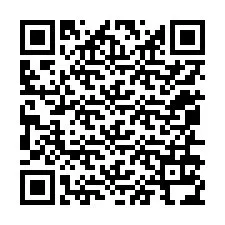 QR Code for Phone number +12056134864