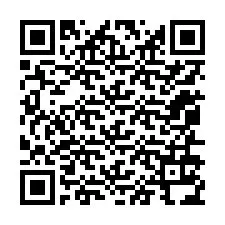 QR-код для номера телефона +12056134865