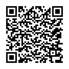 QR код за телефонен номер +12056136689