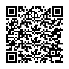 Código QR para número de telefone +12056136693