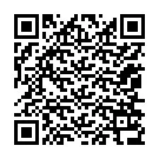 QR-Code für Telefonnummer +12056136695