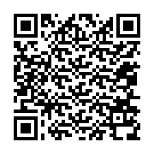 QR-Code für Telefonnummer +12056138723