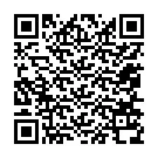 QR Code pour le numéro de téléphone +12056138727