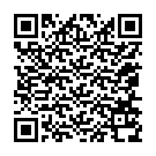 QR kód a telefonszámhoz +12056138728