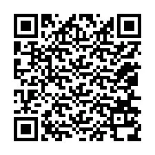 QR Code pour le numéro de téléphone +12056138729