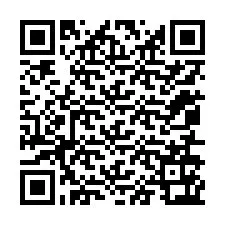 QR код за телефонен номер +12056163981