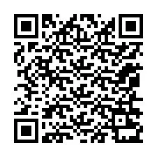 QR Code for Phone number +12056231465