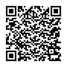 Codice QR per il numero di telefono +12056231685