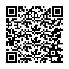 电话号码二维码 +12056281578