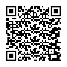 Codice QR per il numero di telefono +12056293313