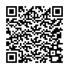 QR-код для номера телефона +12056390064