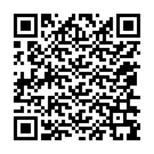 Codice QR per il numero di telefono +12056399068