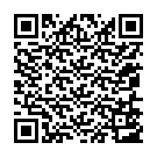 Código QR para número de telefone +12056503104