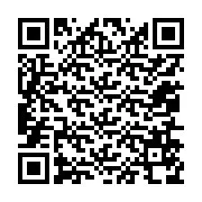 Código QR para número de teléfono +12056578587