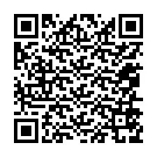 QR код за телефонен номер +12056579873