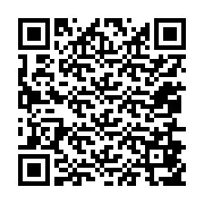 QR-code voor telefoonnummer +12056857187