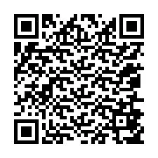 QR-код для номера телефона +12056857188