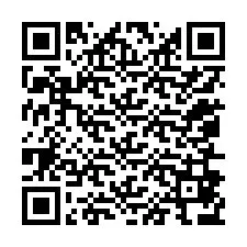 QR Code pour le numéro de téléphone +12056876098