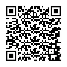 QR-code voor telefoonnummer +12056881014