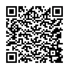 QR-Code für Telefonnummer +12056887468