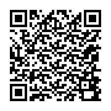 QR-code voor telefoonnummer +12056890165