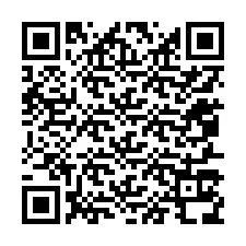 QR-код для номера телефона +12057138812