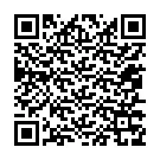 QR код за телефонен номер +12057379653