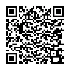 QR-code voor telefoonnummer +12057690026