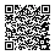QR Code for Phone number +12057691583