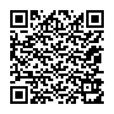 QR-Code für Telefonnummer +12057911695