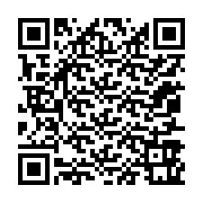 QR-Code für Telefonnummer +12057961885