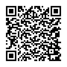 QR-code voor telefoonnummer +12058001290