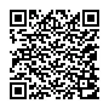 QR-koodi puhelinnumerolle +12058012078