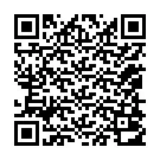 QR-koodi puhelinnumerolle +12058012079