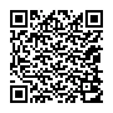 QR-koodi puhelinnumerolle +12058012095