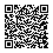 QR-code voor telefoonnummer +12058059840