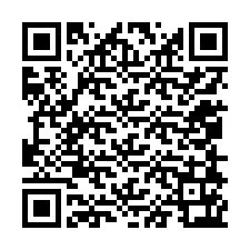 QR-koodi puhelinnumerolle +12058163036