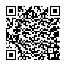 QR-koodi puhelinnumerolle +12058163038