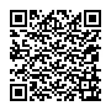 Codice QR per il numero di telefono +12058163040