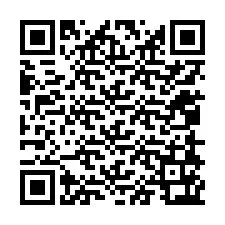 Código QR para número de telefone +12058163042