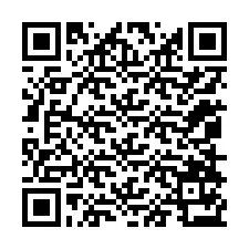 Codice QR per il numero di telefono +12058173791