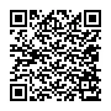 QR код за телефонен номер +12058173796