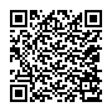 QR-Code für Telefonnummer +12058173799