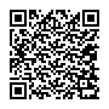 Codice QR per il numero di telefono +12058231133