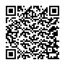 QR-Code für Telefonnummer +12058231138